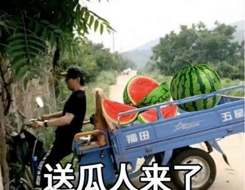 最近大瓜事件,揭秘明星隐私风波背后的真相-第1张图片-日韩中文字幕不卡 最近大瓜事件,揭秘明星隐私风波背后的真相-第1张图片-日韩中文字幕不卡