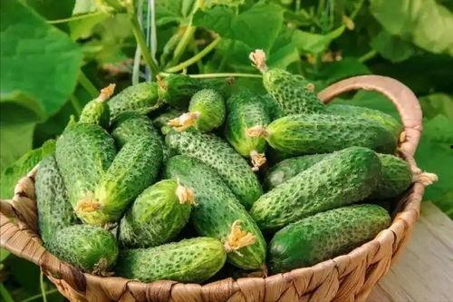 最近大瓜事件,揭秘明星隐私风波背后的真相-第2张图片-日韩中文字幕不卡 最近大瓜事件,揭秘明星隐私风波背后的真相-第2张图片-日韩中文字幕不卡