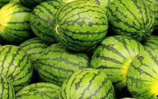 吃瓜网官网免费观看 吃瓜网官网,免费观看,畅享娱乐盛宴-第2张图片-日韩中文字幕不卡 吃瓜网官网免费观看 吃瓜网官网,免费观看,畅享娱乐盛宴-第2张图片-日韩中文字幕不卡