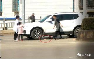 国产红旗砸车事件视频-第3张图片-日韩中文字幕不卡