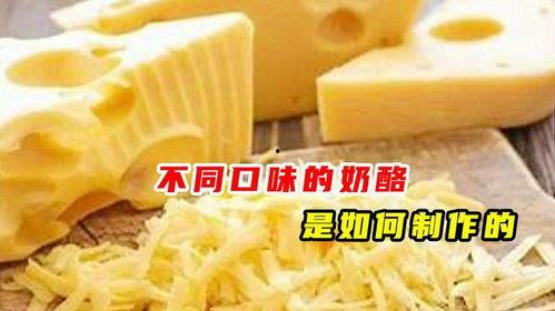 国产奶酪制作过程视频-第1张图片-日韩中文字幕不卡