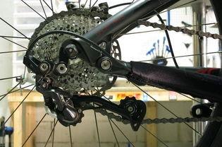 国产自行车链条评测视频,性能与性价比的完美平衡-第1张图片-日韩中文字幕不卡 国产自行车链条评测视频,性能与性价比的完美平衡-第1张图片-日韩中文字幕不卡