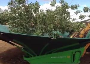 国产摘果神器视频-第1张图片-日韩中文字幕不卡