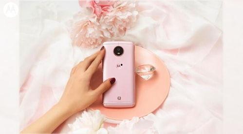 国产摘果神器视频-第3张图片-日韩中文字幕不卡