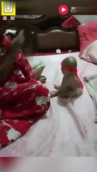 国产夂夂视频,探索东方奇幻世界的魅力之旅-第3张图片-日韩中文字幕不卡