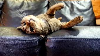 国产自拍视频 野狼-第3张图片-日韩中文字幕不卡