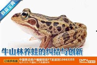 国产小青蛙在线视频频-第3张图片-日韩中文字幕不卡