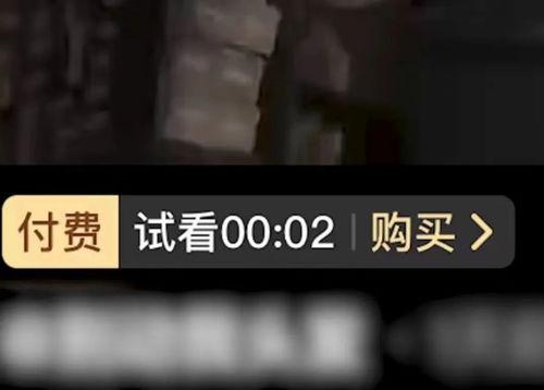 爱爱试看视频国产-第3张图片-日韩中文字幕不卡