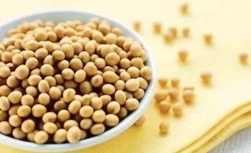国产大豆的保养方法视频,视频教你轻松延长保质期-第2张图片-日韩中文字幕不卡 国产大豆的保养方法视频,视频教你轻松延长保质期-第2张图片-日韩中文字幕不卡