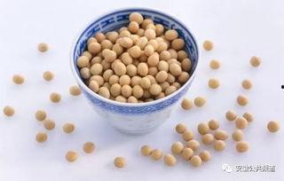国产大豆的保养方法视频,视频教你轻松延长保质期-第3张图片-日韩中文字幕不卡 国产大豆的保养方法视频,视频教你轻松延长保质期-第3张图片-日韩中文字幕不卡